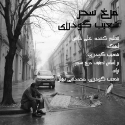 دانلود آهنگ شعیب گودرزی مرغ سحر